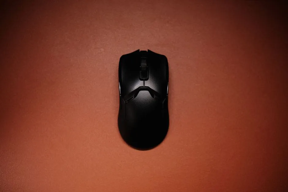 Basement Mouse Treatment: Springfield Subterranean Pests